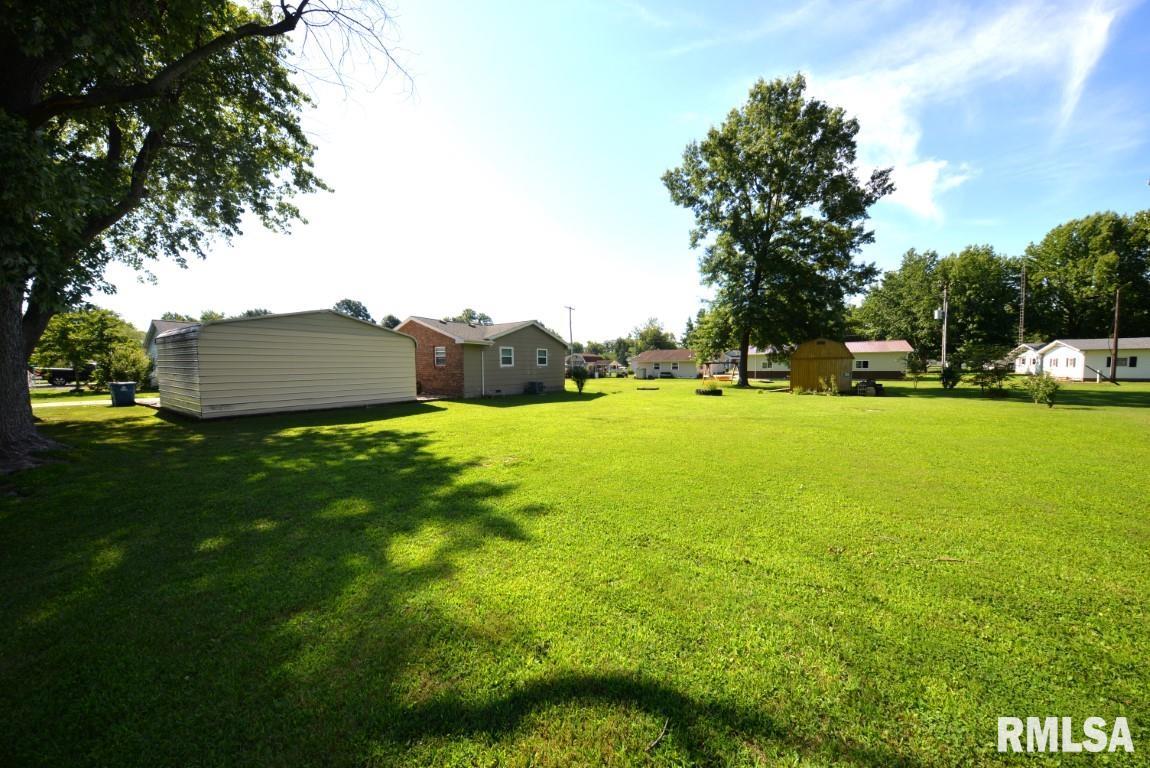 303 West Lottie Street Sesser, IL 62884 - Photo 11 of 28