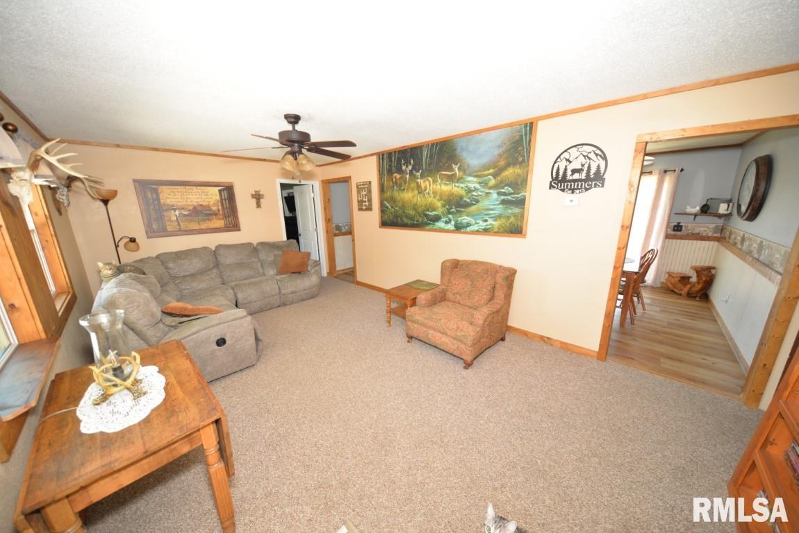 303 West Lottie Street Sesser, IL 62884 - Photo 13 of 28