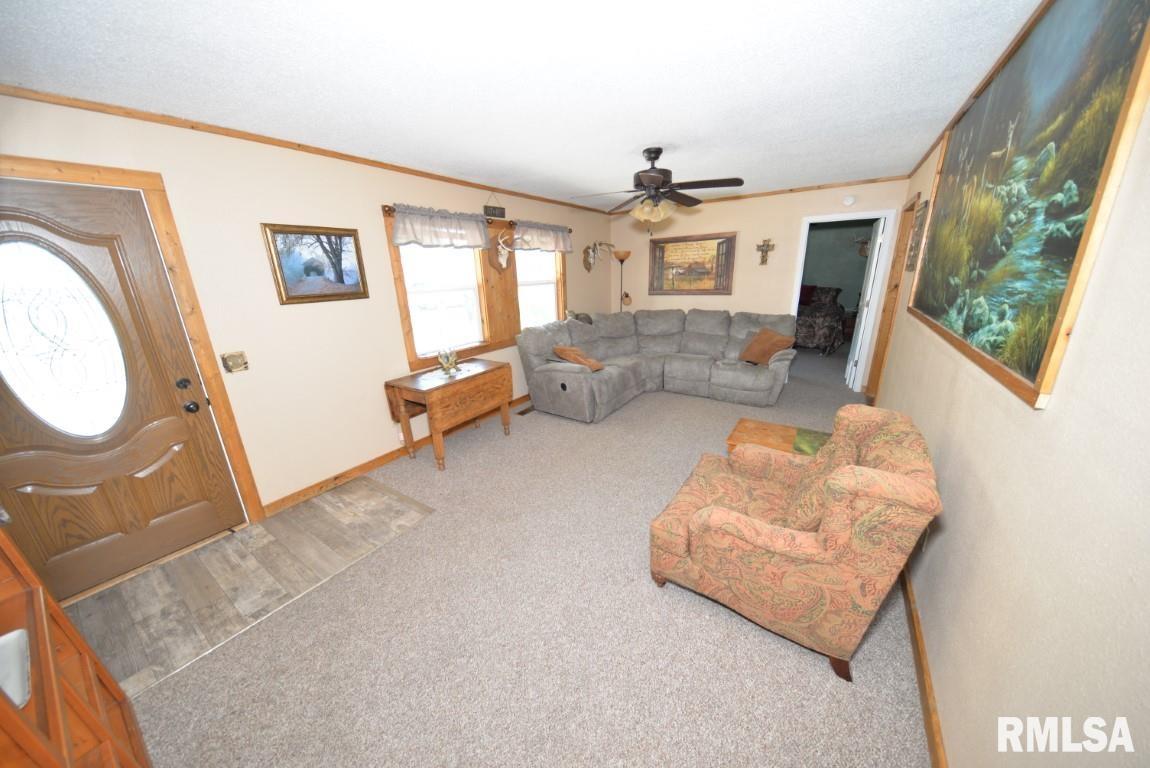 303 West Lottie Street Sesser, IL 62884 - Photo 14 of 28