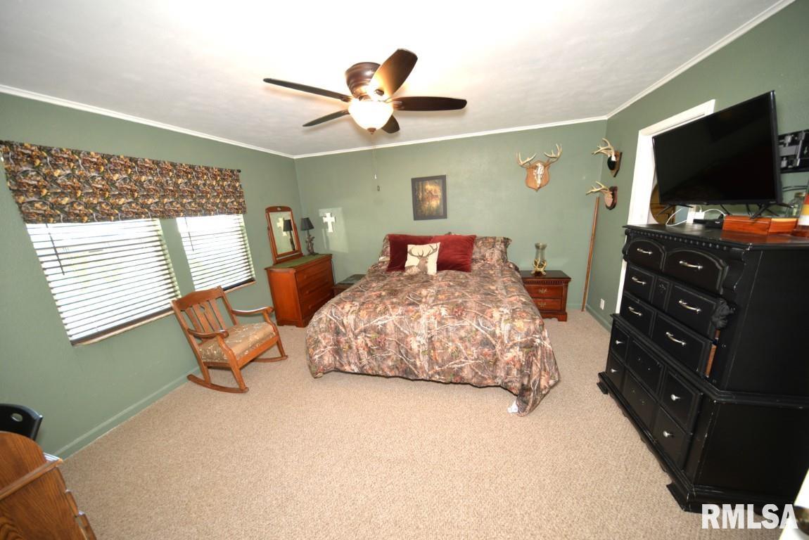 303 West Lottie Street Sesser, IL 62884 - Photo 19 of 28