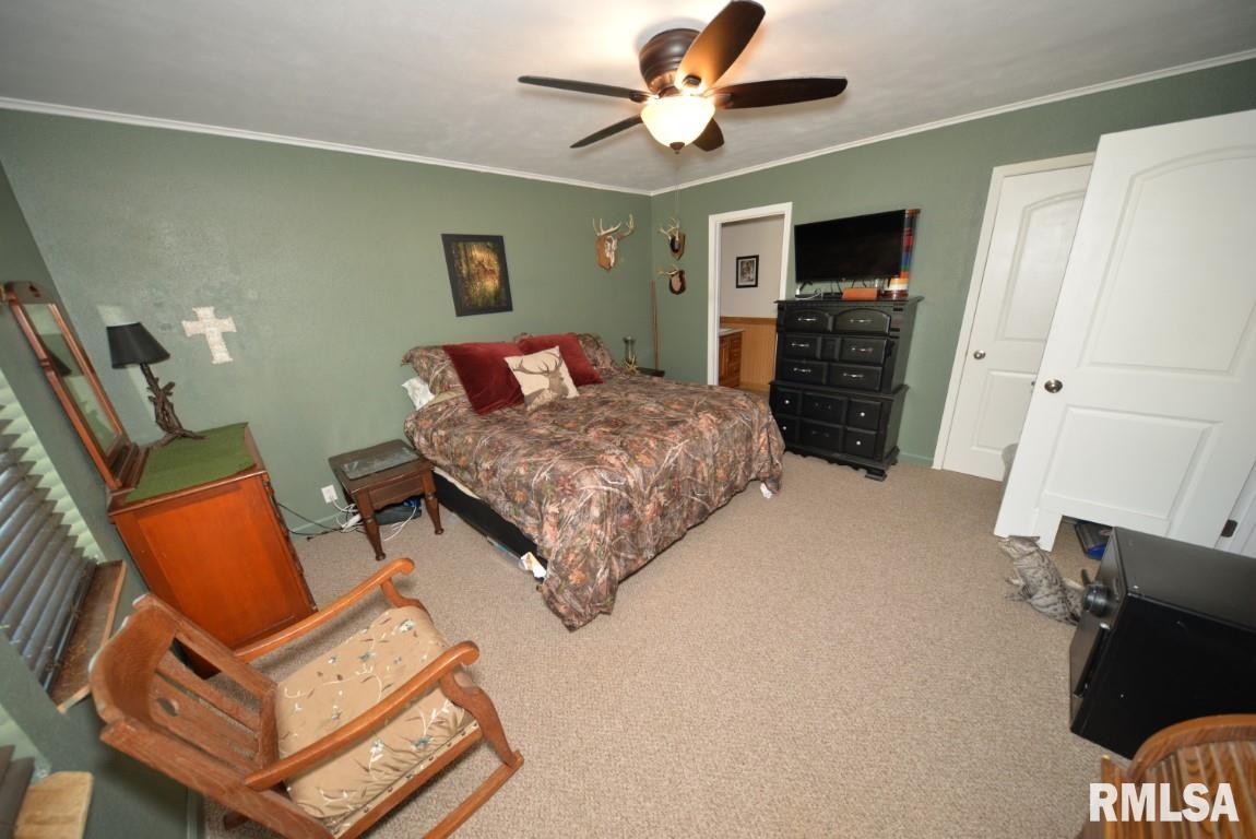 303 West Lottie Street Sesser, IL 62884 - Photo 20 of 28