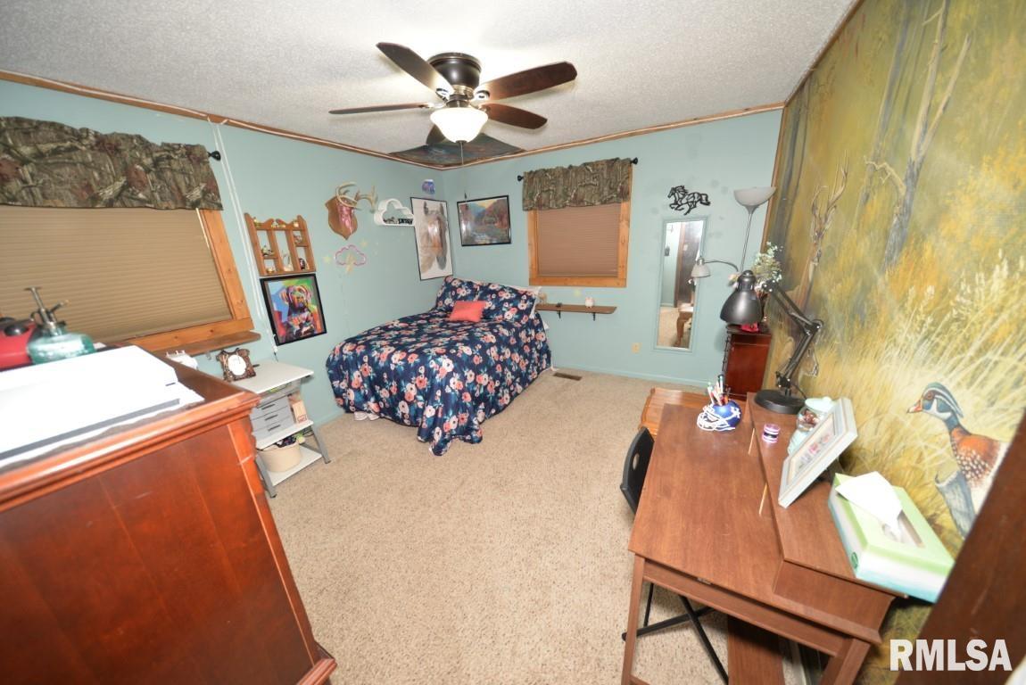 303 West Lottie Street Sesser, IL 62884 - Photo 25 of 28