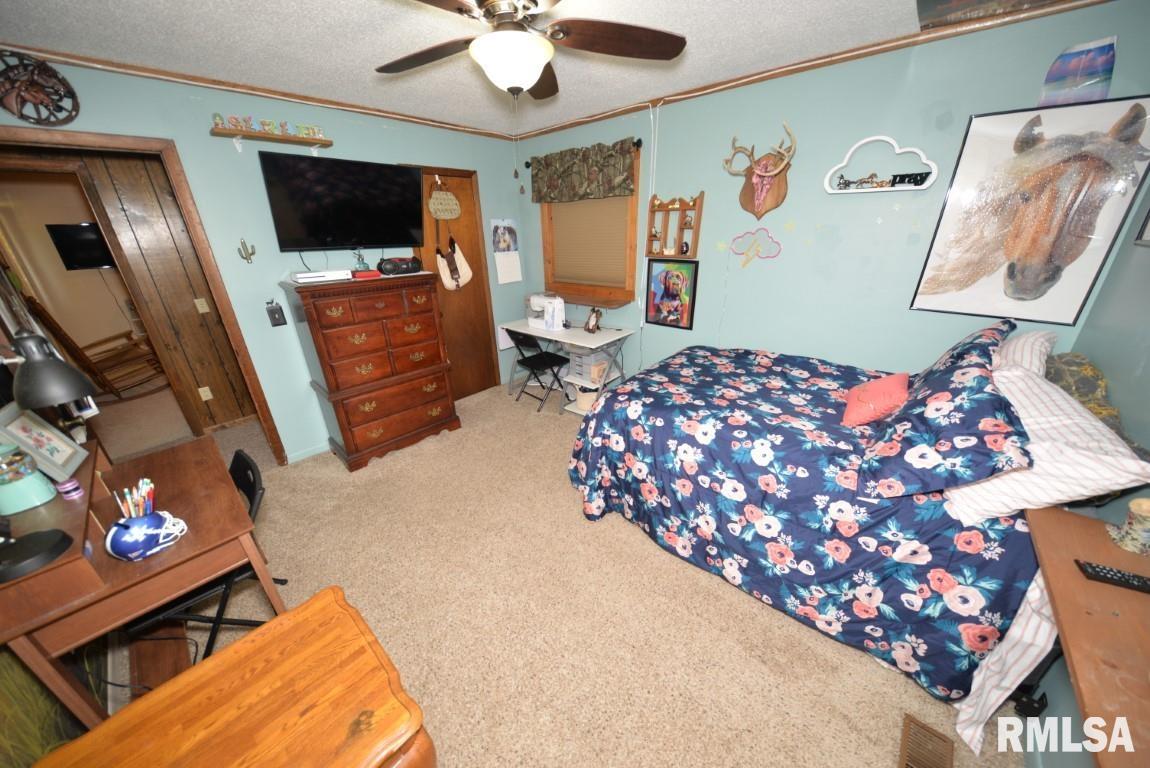 303 West Lottie Street Sesser, IL 62884 - Photo 26 of 28