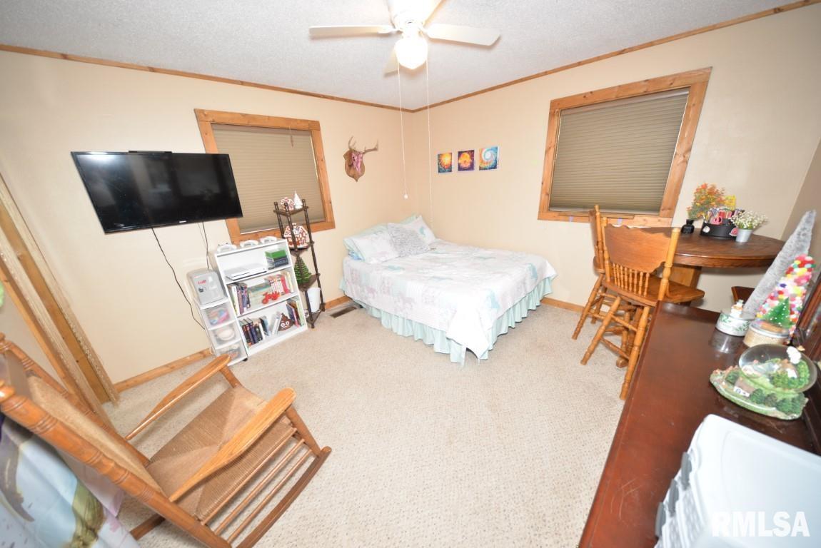 303 West Lottie Street Sesser, IL 62884 - Photo 27 of 28