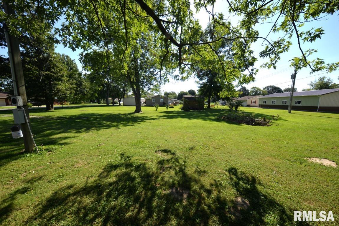 303 West Lottie Street Sesser, IL 62884 - Photo 8 of 28
