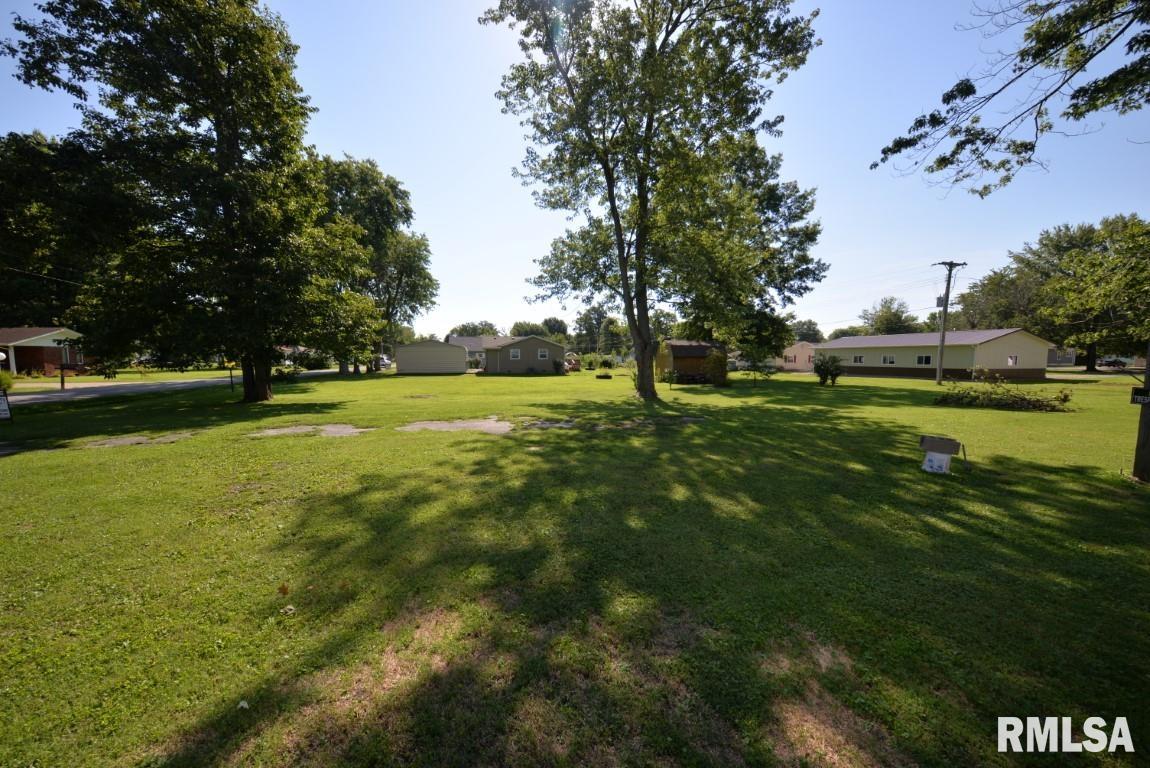 303 West Lottie Street Sesser, IL 62884 - Photo 9 of 28