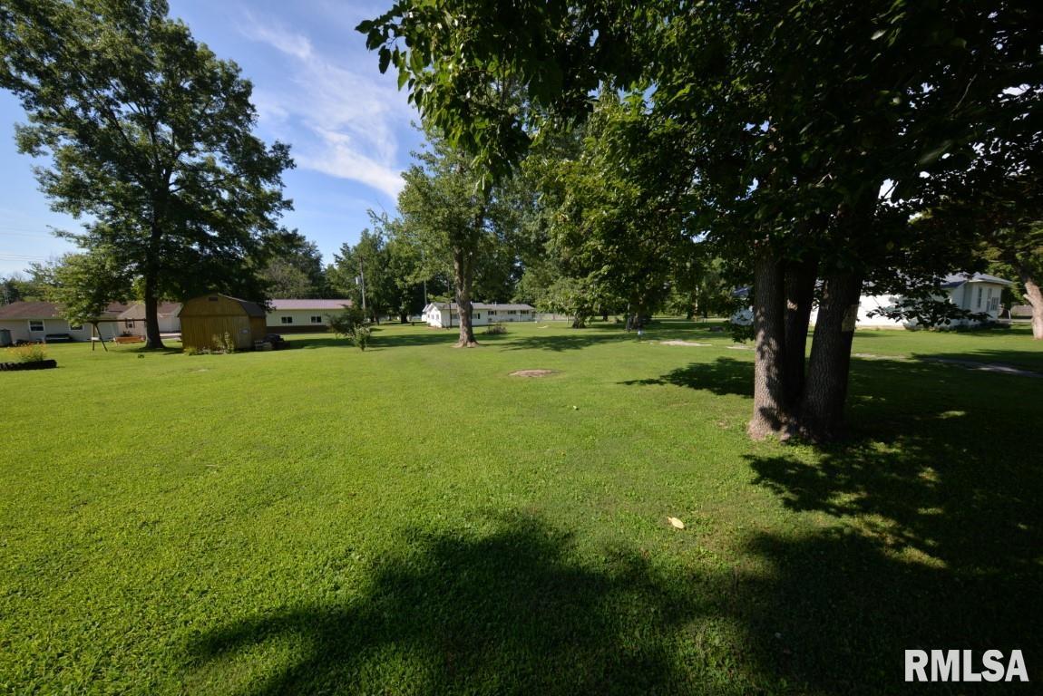303 West Lottie Street Sesser, IL 62884 - Photo 10 of 28