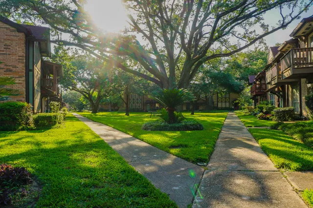 a view of a park with large trees