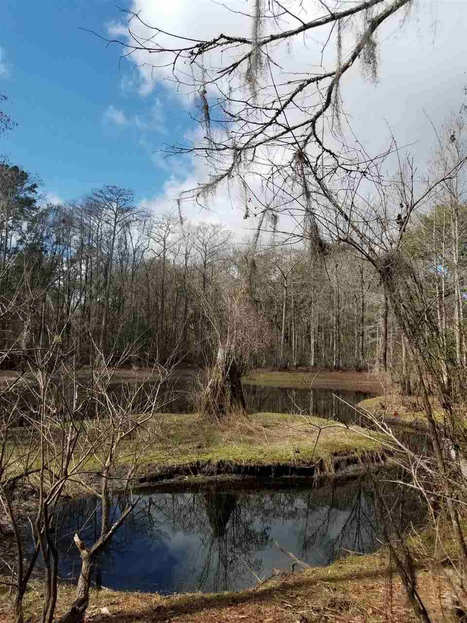64 Upper Cody Road Monticello, FL 32344 - Photo 1 of 36 Gallery Image 1
