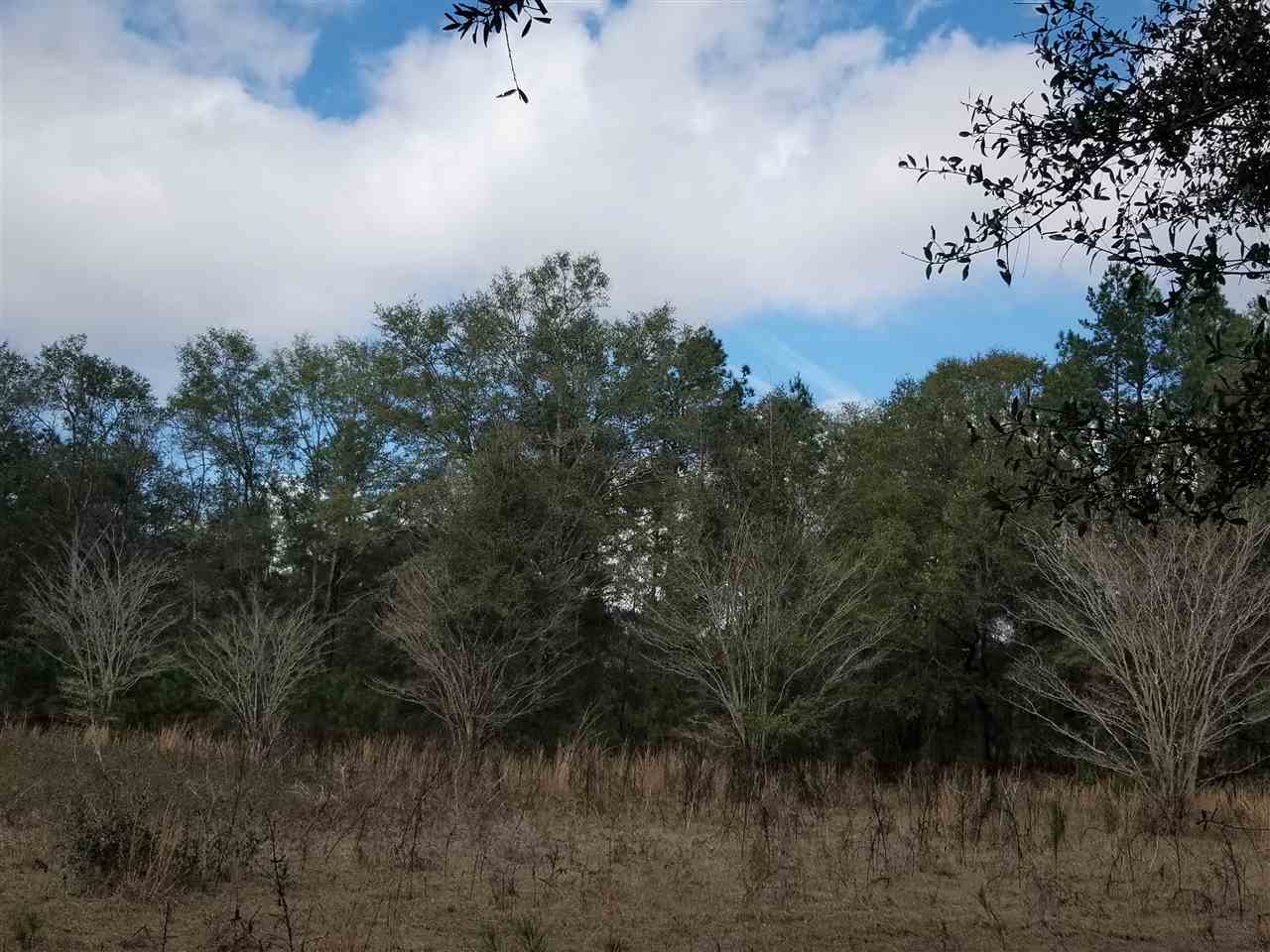 64 Upper Cody Road Monticello, FL 32344 - Photo 11 of 36 Gallery Image 11