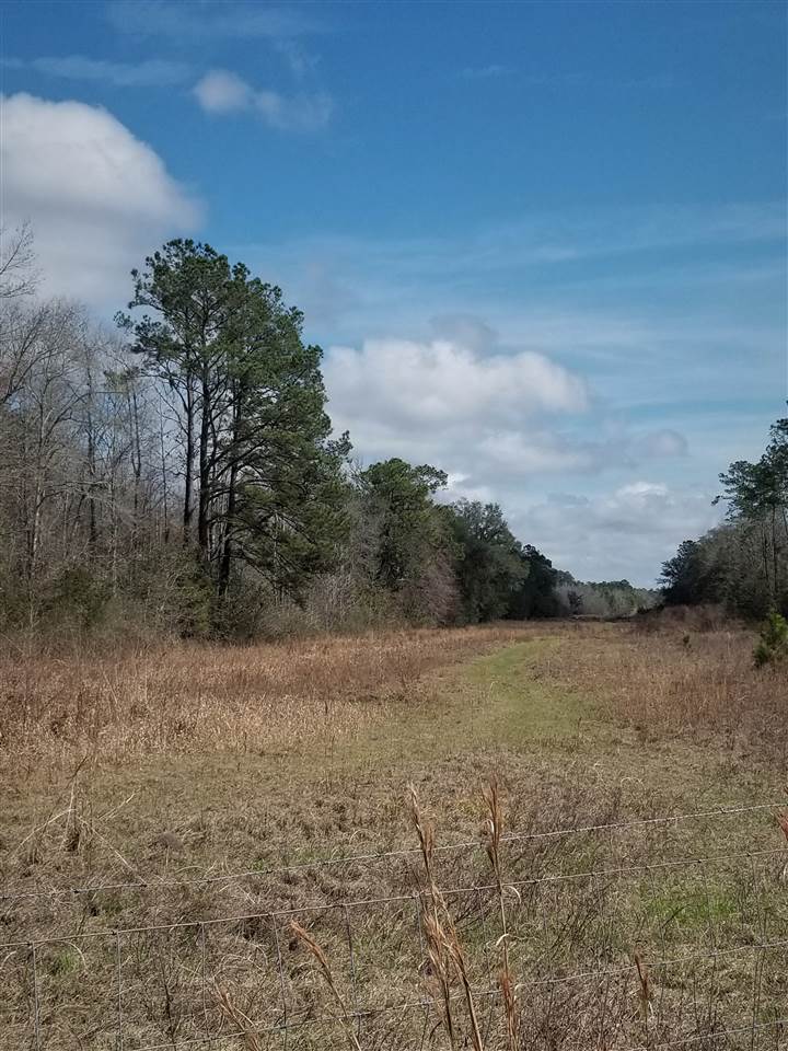64 Upper Cody Road Monticello, FL 32344 - Photo 15 of 36 Gallery Image 15