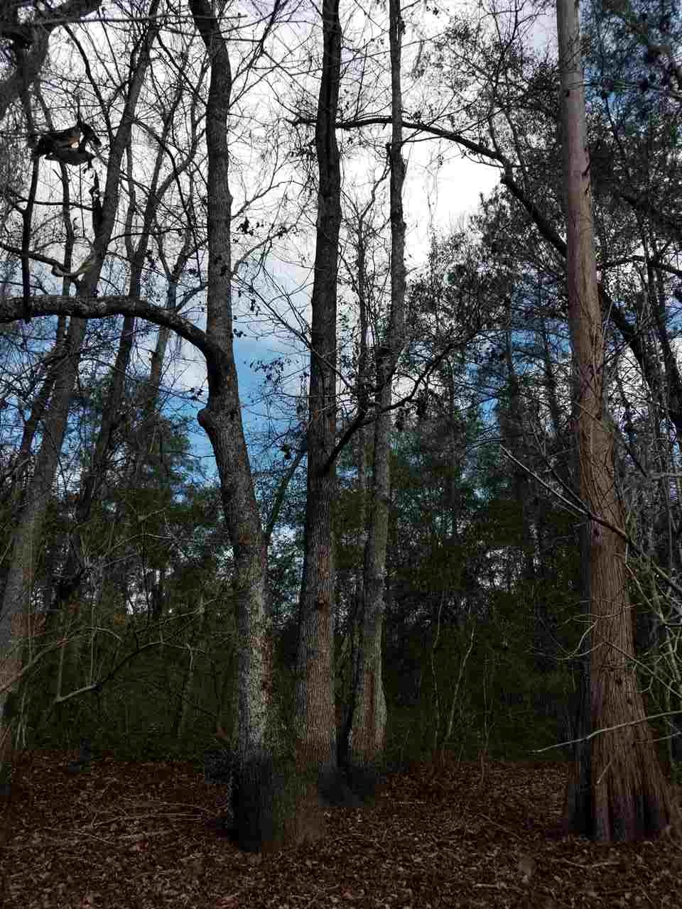 64 Upper Cody Road Monticello, FL 32344 - Photo 16 of 36 Gallery Image 16