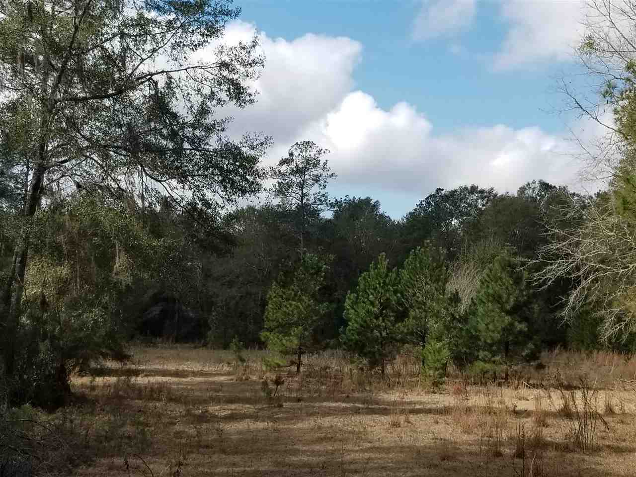 64 Upper Cody Road Monticello, FL 32344 - Photo 17 of 36 Gallery Image 17