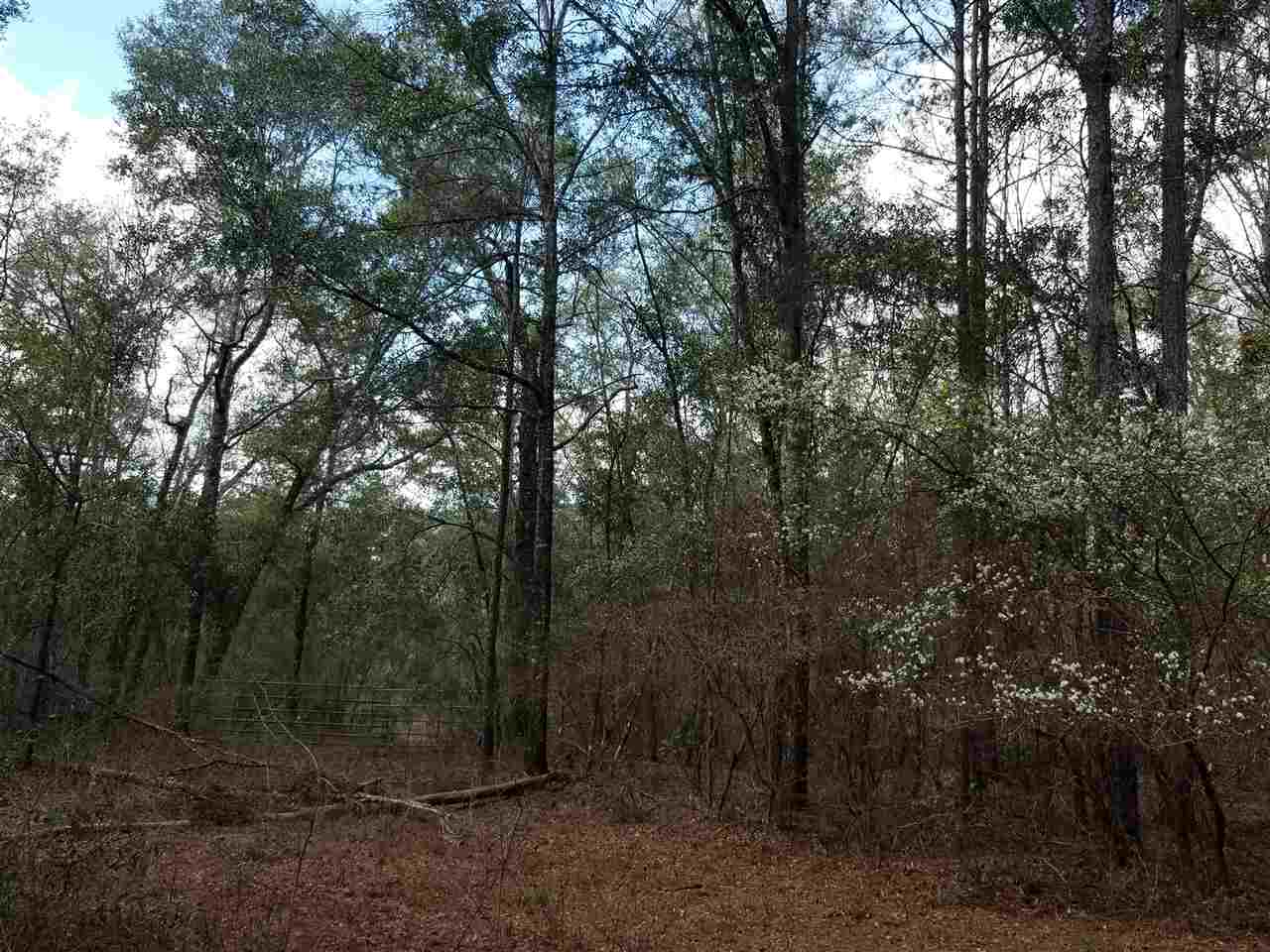 64 Upper Cody Road Monticello, FL 32344 - Photo 18 of 36 Gallery Image 18
