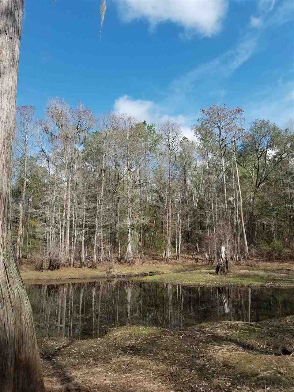 64 Upper Cody Road Monticello, FL 32344 - Photo 20 of 36 Gallery Image 20