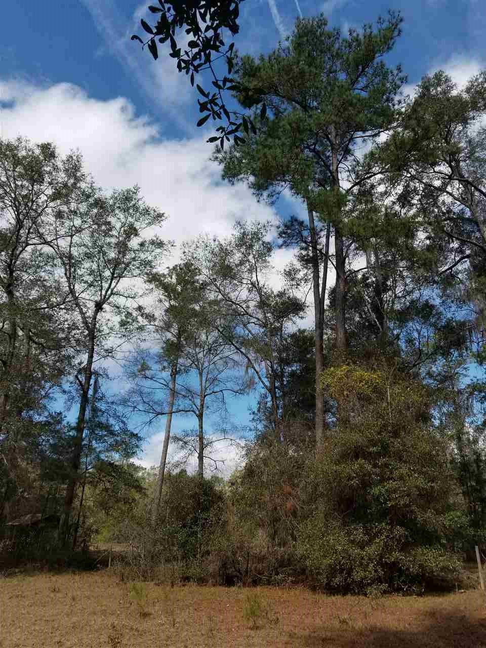 64 Upper Cody Road Monticello, FL 32344 - Photo 2 of 36 Gallery Image 2