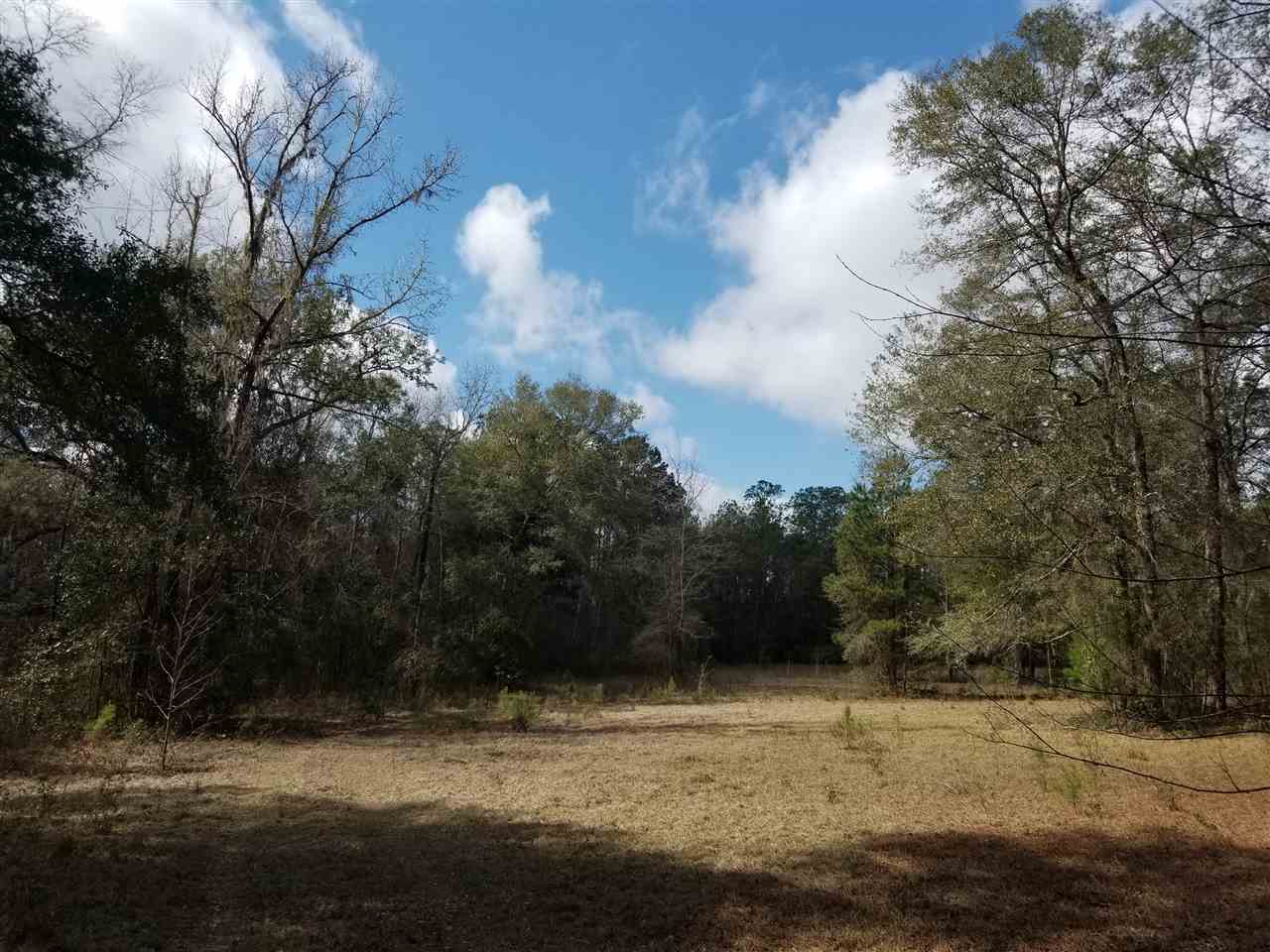64 Upper Cody Road Monticello, FL 32344 - Photo 21 of 36 Gallery Image 21