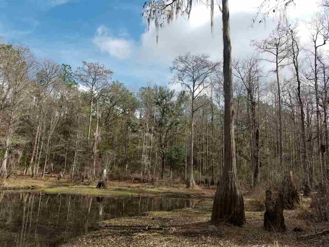 64 Upper Cody Road Monticello, FL 32344 - Photo 22 of 36 Gallery Image 22