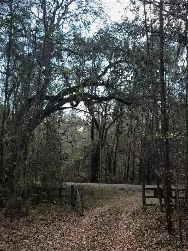 64 Upper Cody Road Monticello, FL 32344 - Photo 23 of 36 Gallery Image 23
