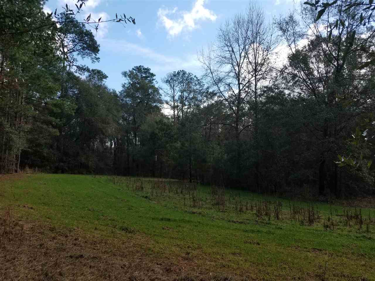 64 Upper Cody Road Monticello, FL 32344 - Photo 26 of 36 Gallery Image 26