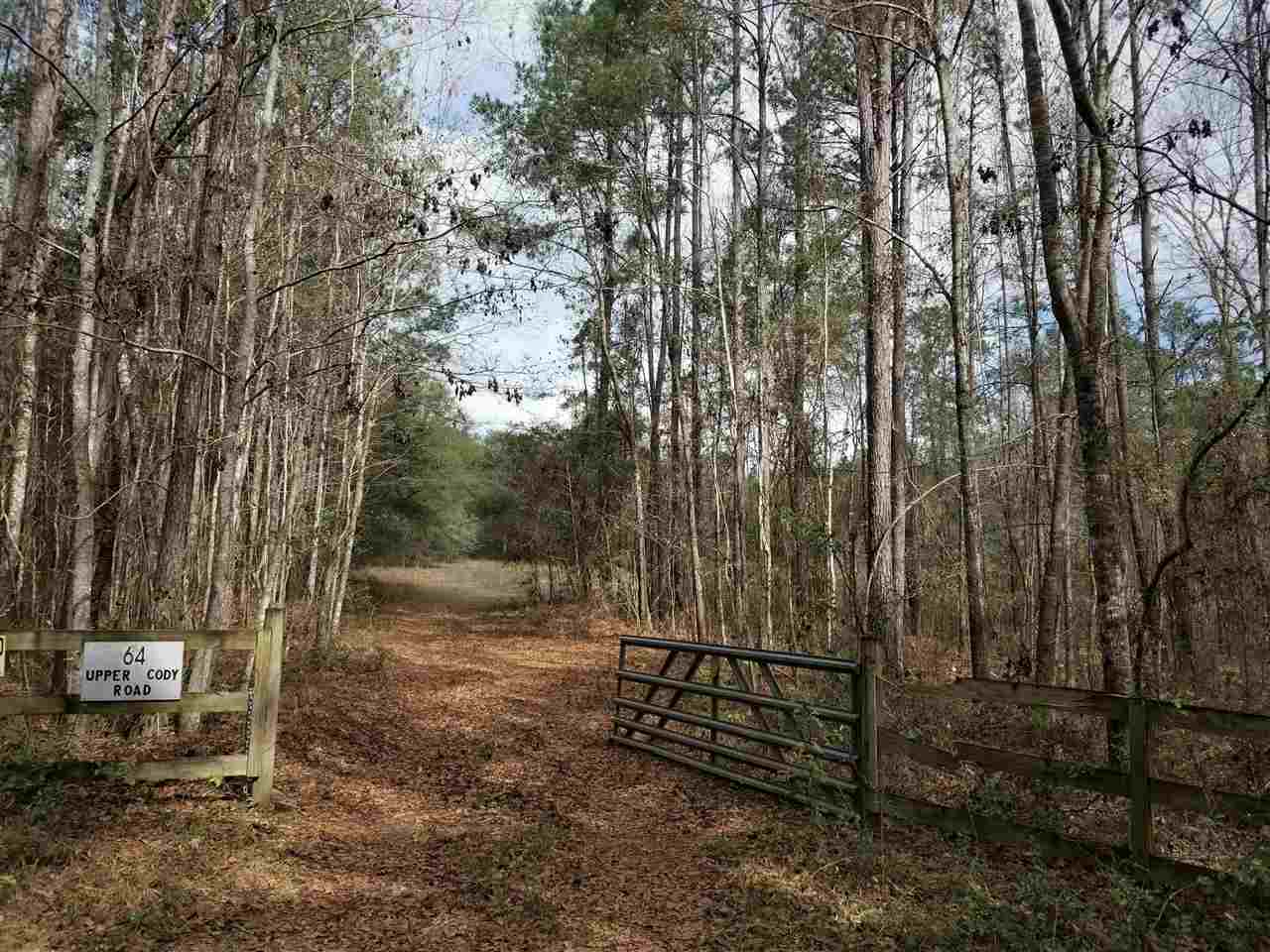 64 Upper Cody Road Monticello, FL 32344 - Photo 30 of 36 Gallery Image 30