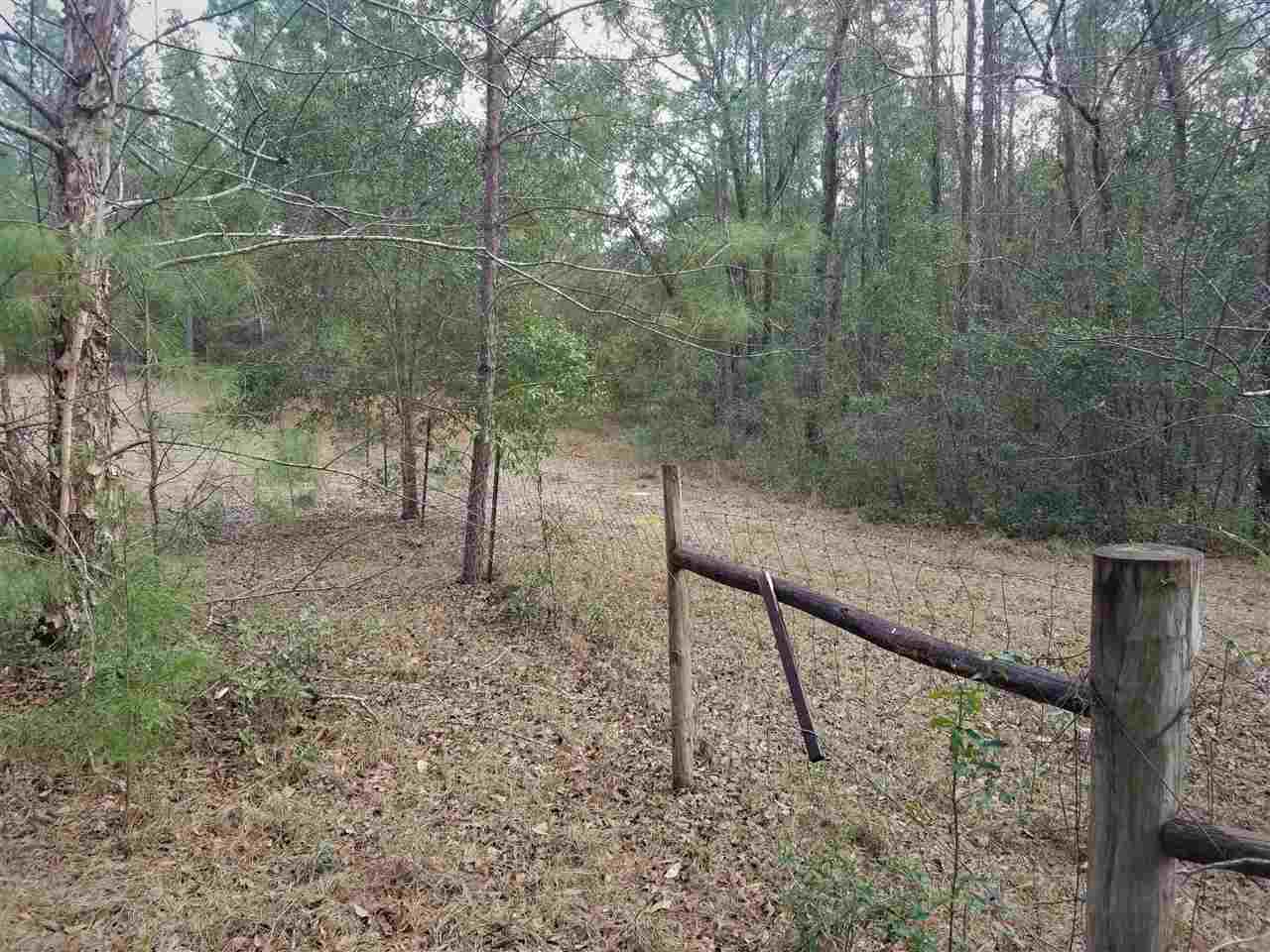 64 Upper Cody Road Monticello, FL 32344 - Photo 31 of 36 Gallery Image 31