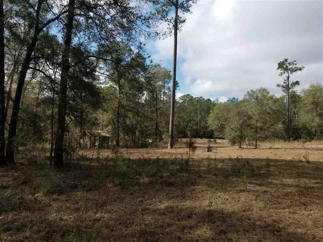 64 Upper Cody Road Monticello, FL 32344 - Photo 34 of 36 Gallery Image 34