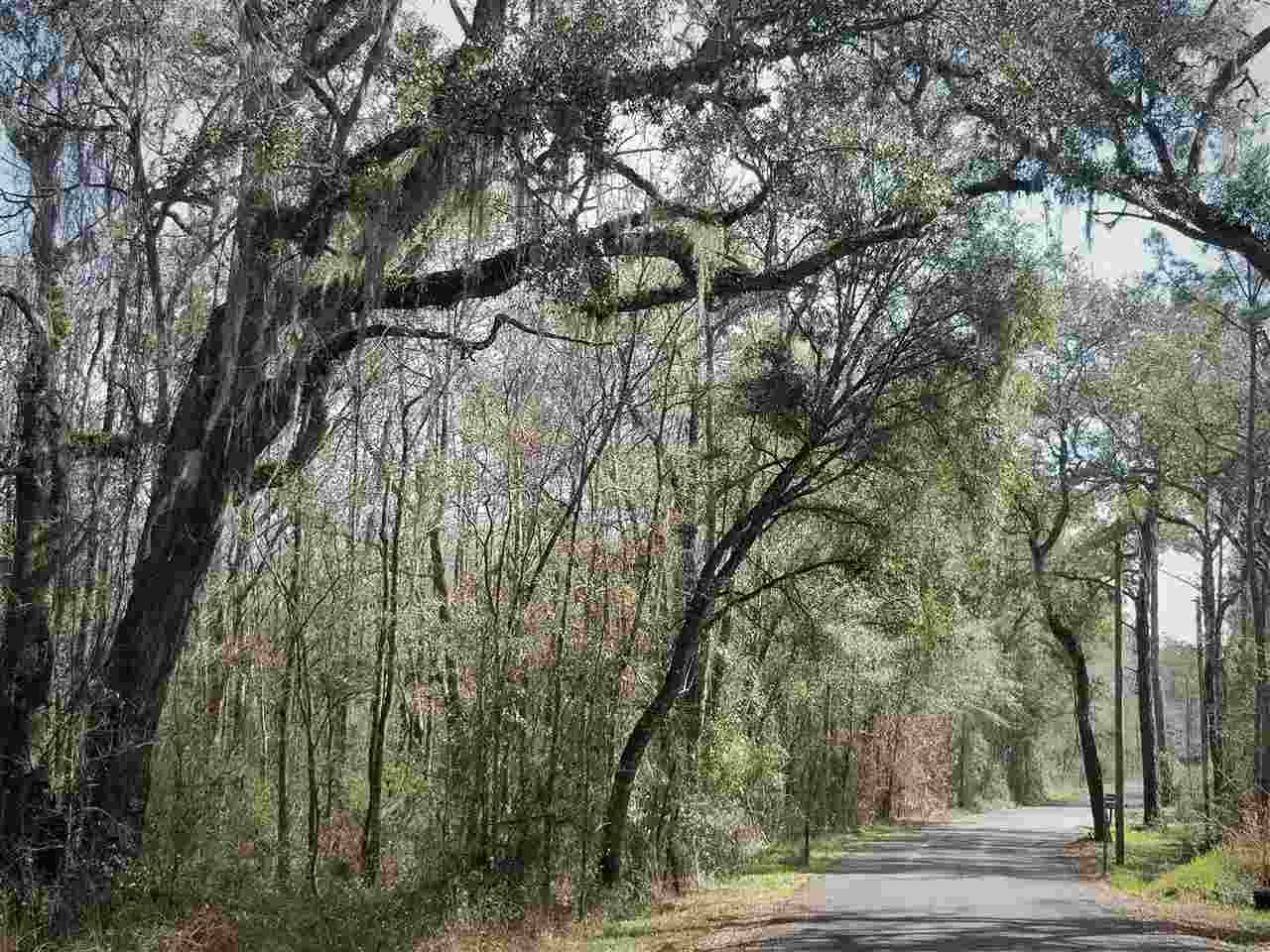 64 Upper Cody Road Monticello, FL 32344 - Photo 35 of 36 Gallery Image 35