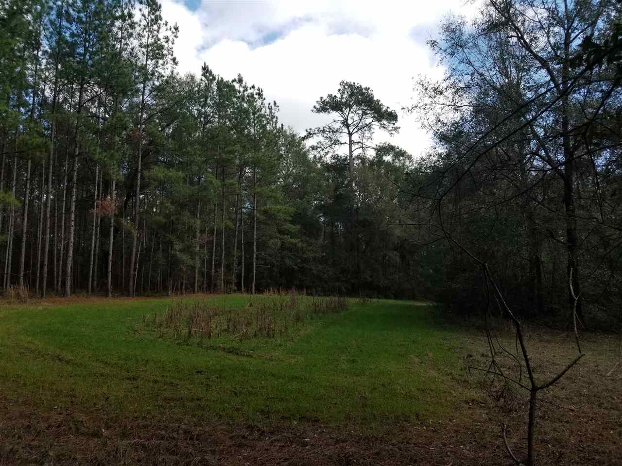 64 Upper Cody Road Monticello, FL 32344 - Photo 36 of 36 Gallery Image 36