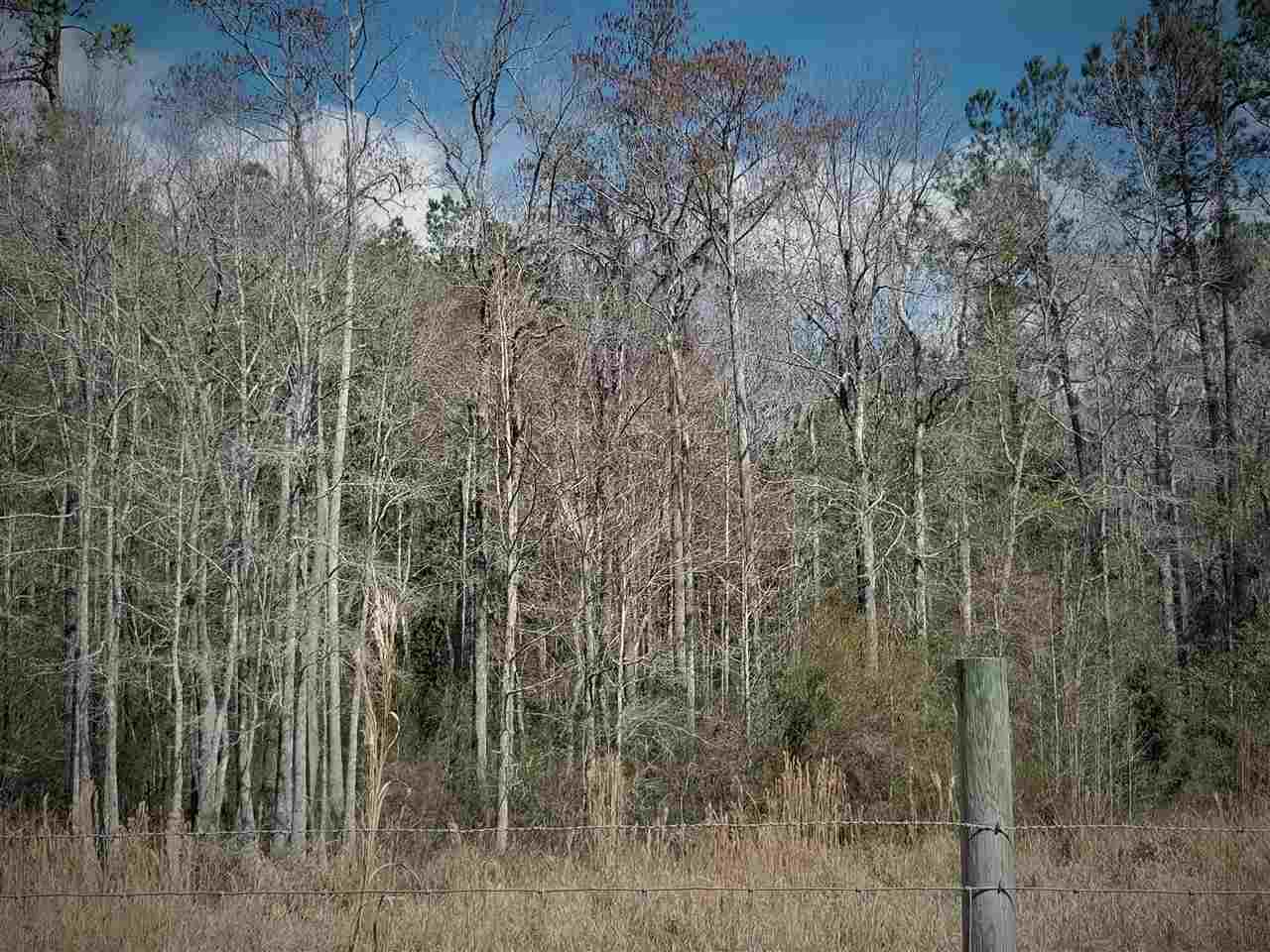 64 Upper Cody Road Monticello, FL 32344 - Photo 5 of 36 Gallery Image 5