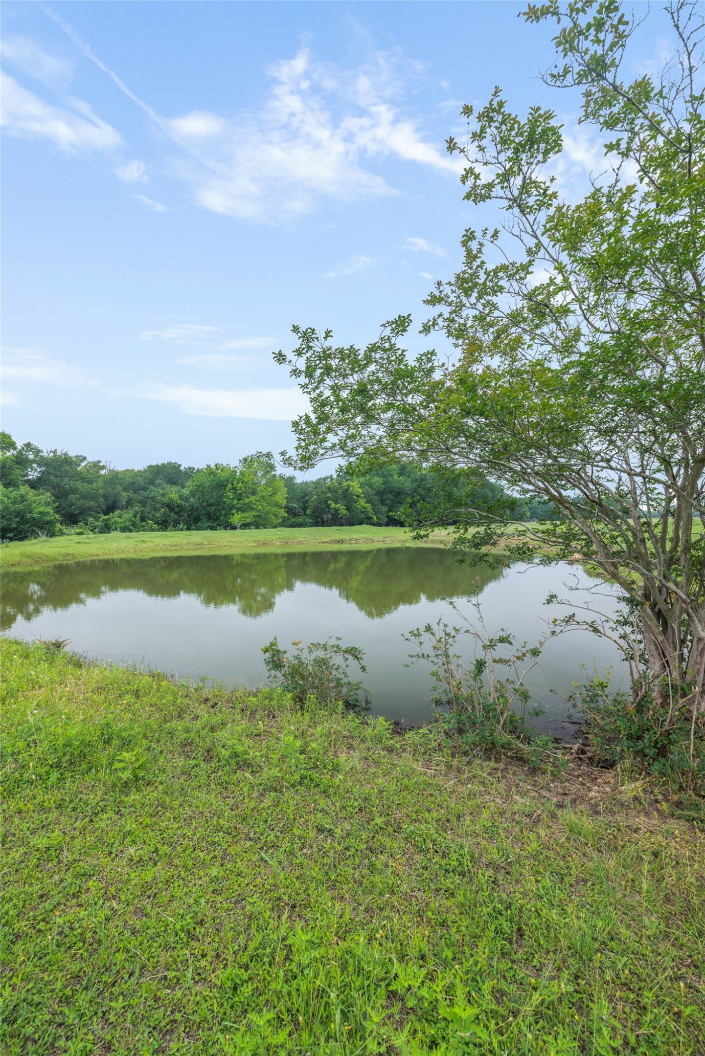 493 Hodde Road Burton, TX 77835 - Photo 4 of 47