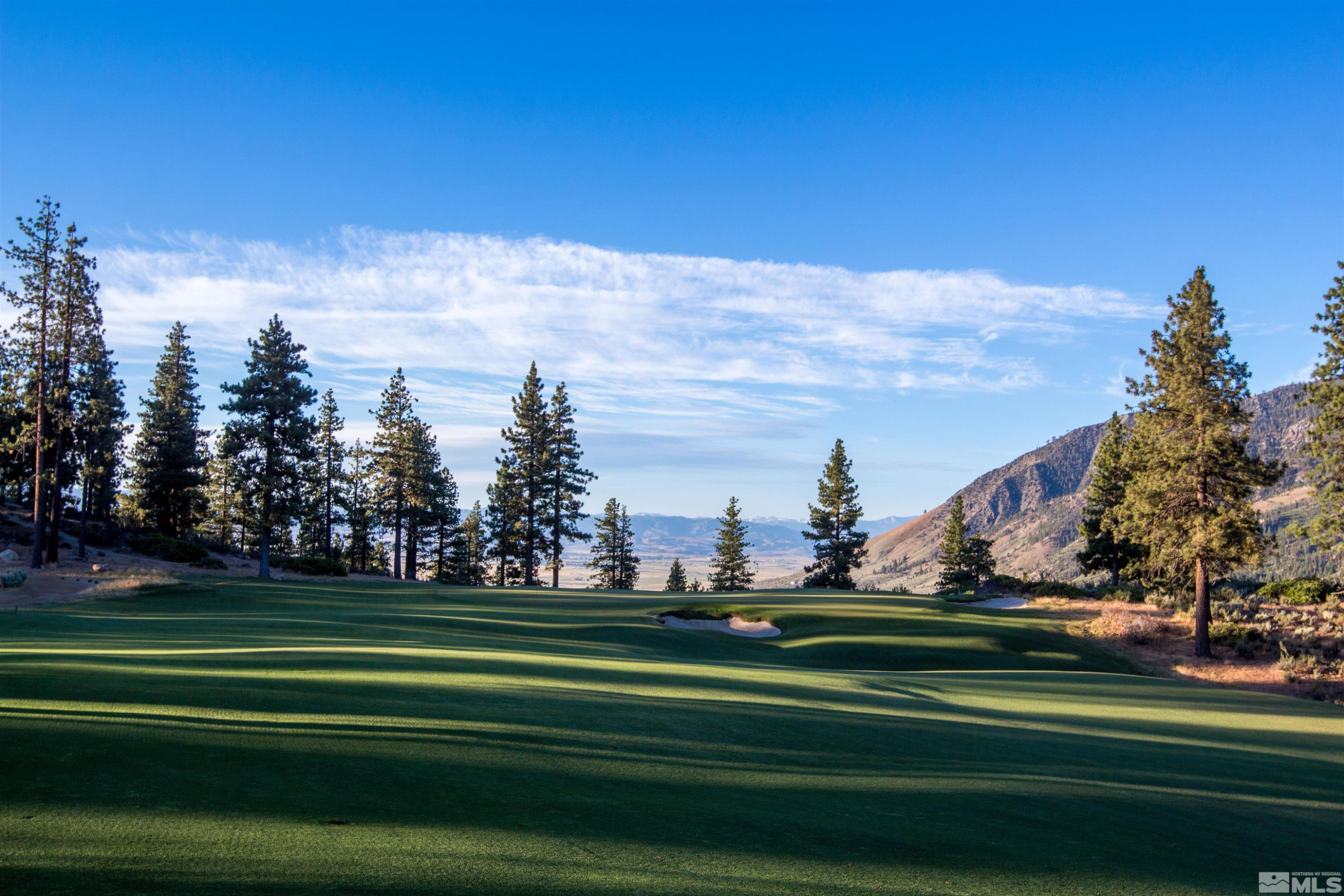 3531 Knob Point Trail, Unit 86 Carson City, NV 89705 - Photo 17 of 40 a green field with lots of trees in the background