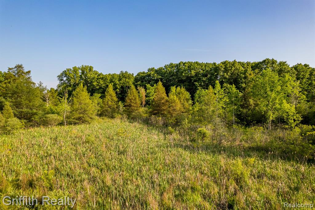4433 Brighton Road Howell, MI 48843 - Photo 1 of 29