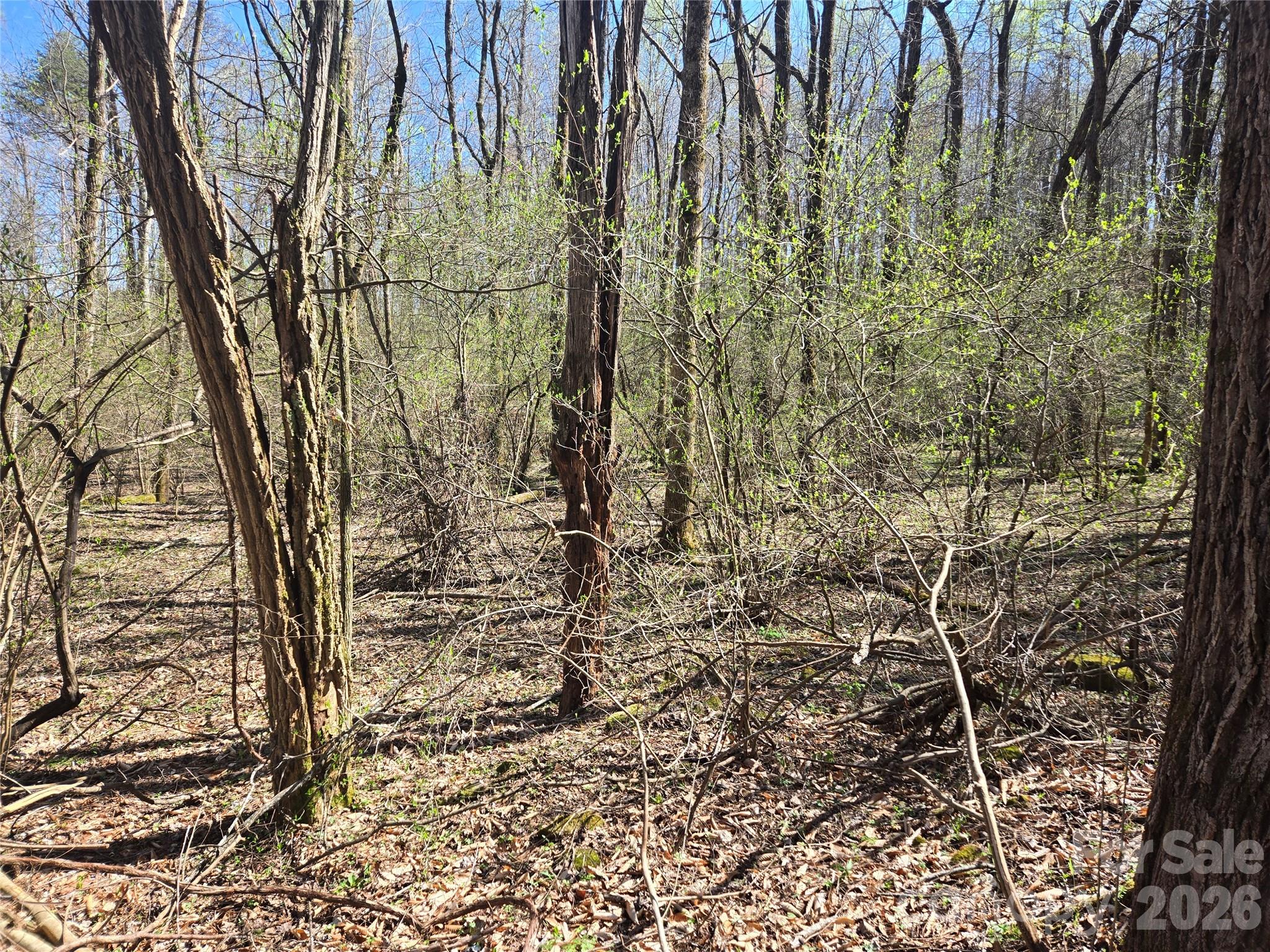 0 Brasstown Road Cullowhee, NC 28723 - Photo 24 of 37 Gallery Image 24