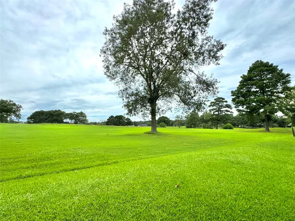 a view of grassy field with mountain