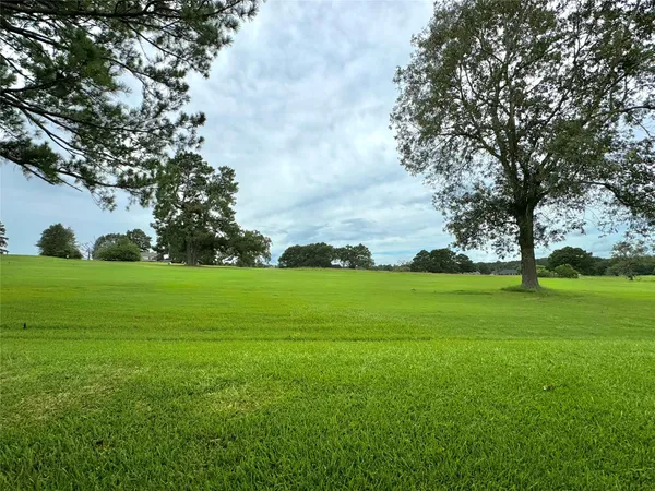 a view of field with tall trees