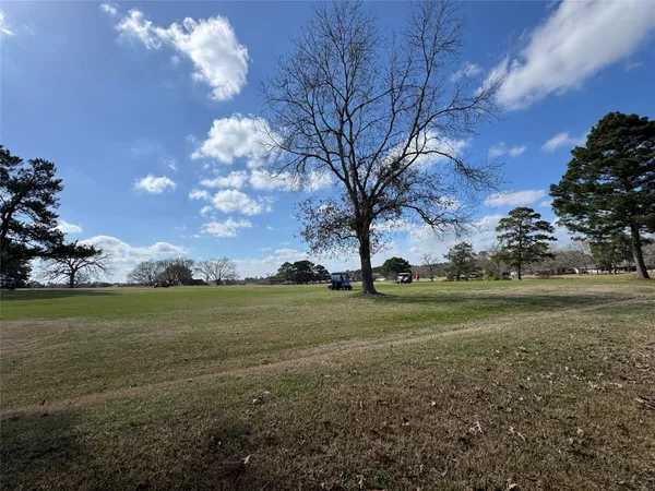 a view of field with large trees