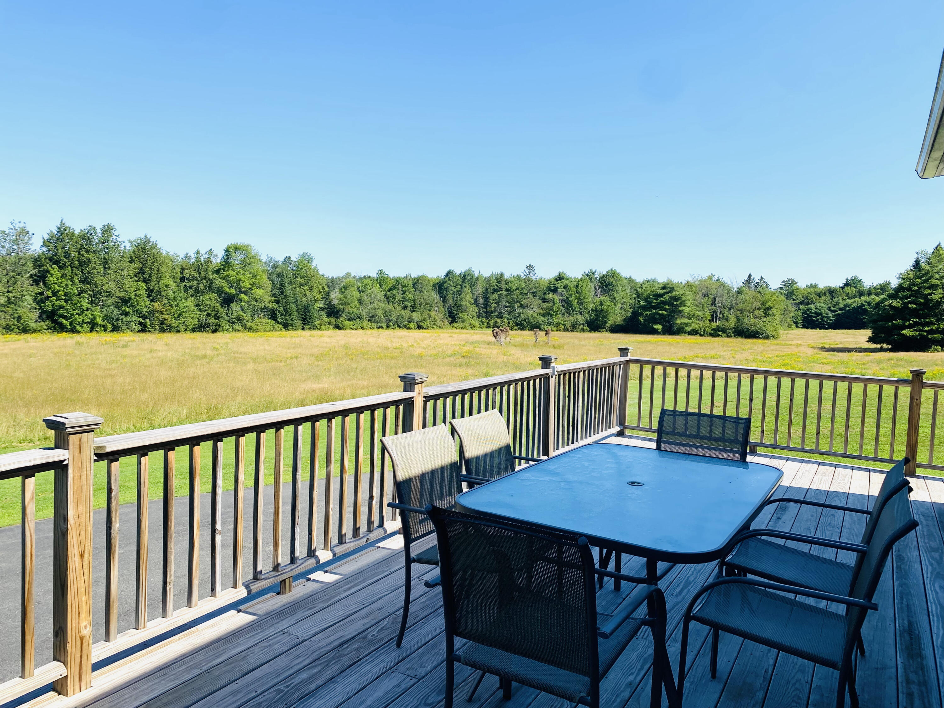 763 Dirigo Road South China, ME 04358 - Photo 10 of 51 10 Back Deck