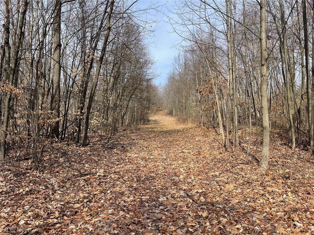 Cordova Road Dennison, OH 44621 - Photo 6 of 16 View of nature