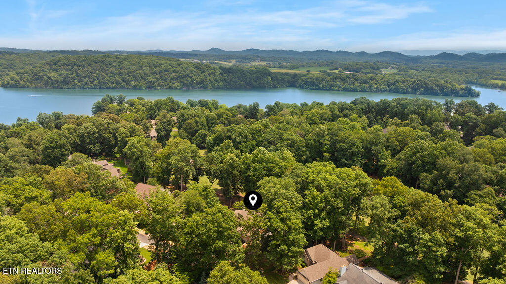 121 Inata Circle Loudon, TN 37774 - Photo 59 of 60 DJI_0246
