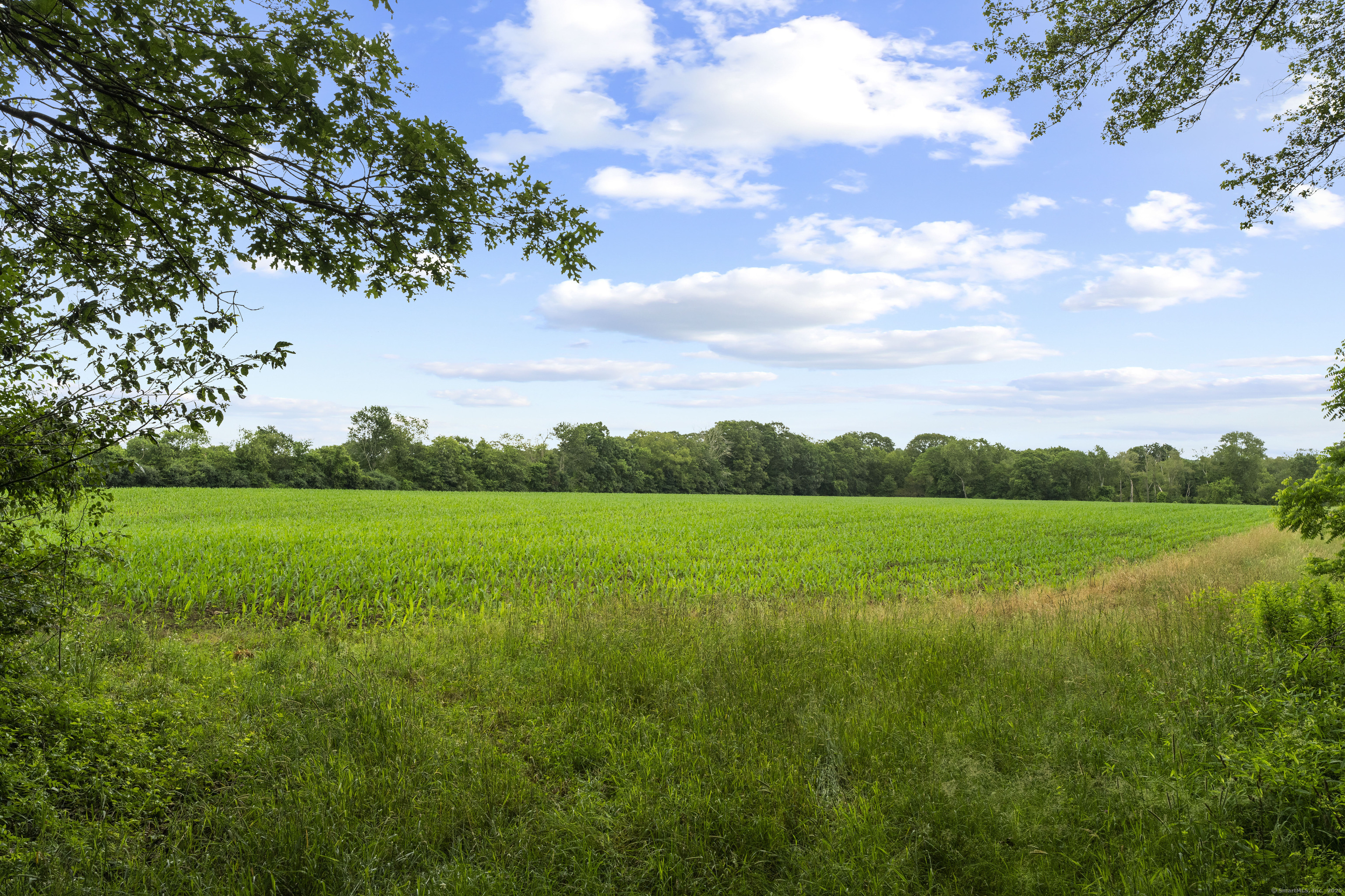 55 A Anna Farm Road West North Stonington, CT 06359 - Photo 2 of 41