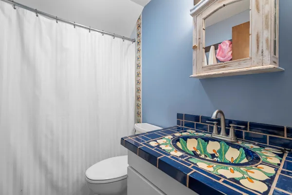 a view of a bunch of trees in a yard