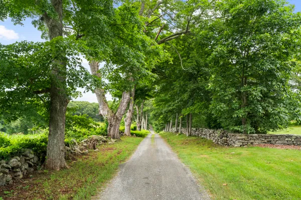 a view of backyard with green space