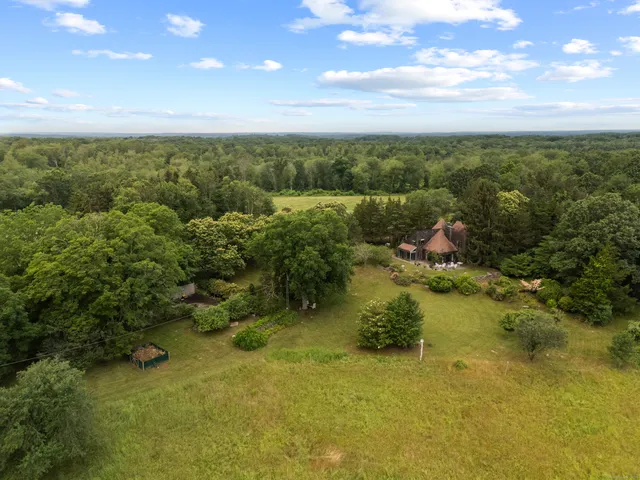 a view of a park with large trees