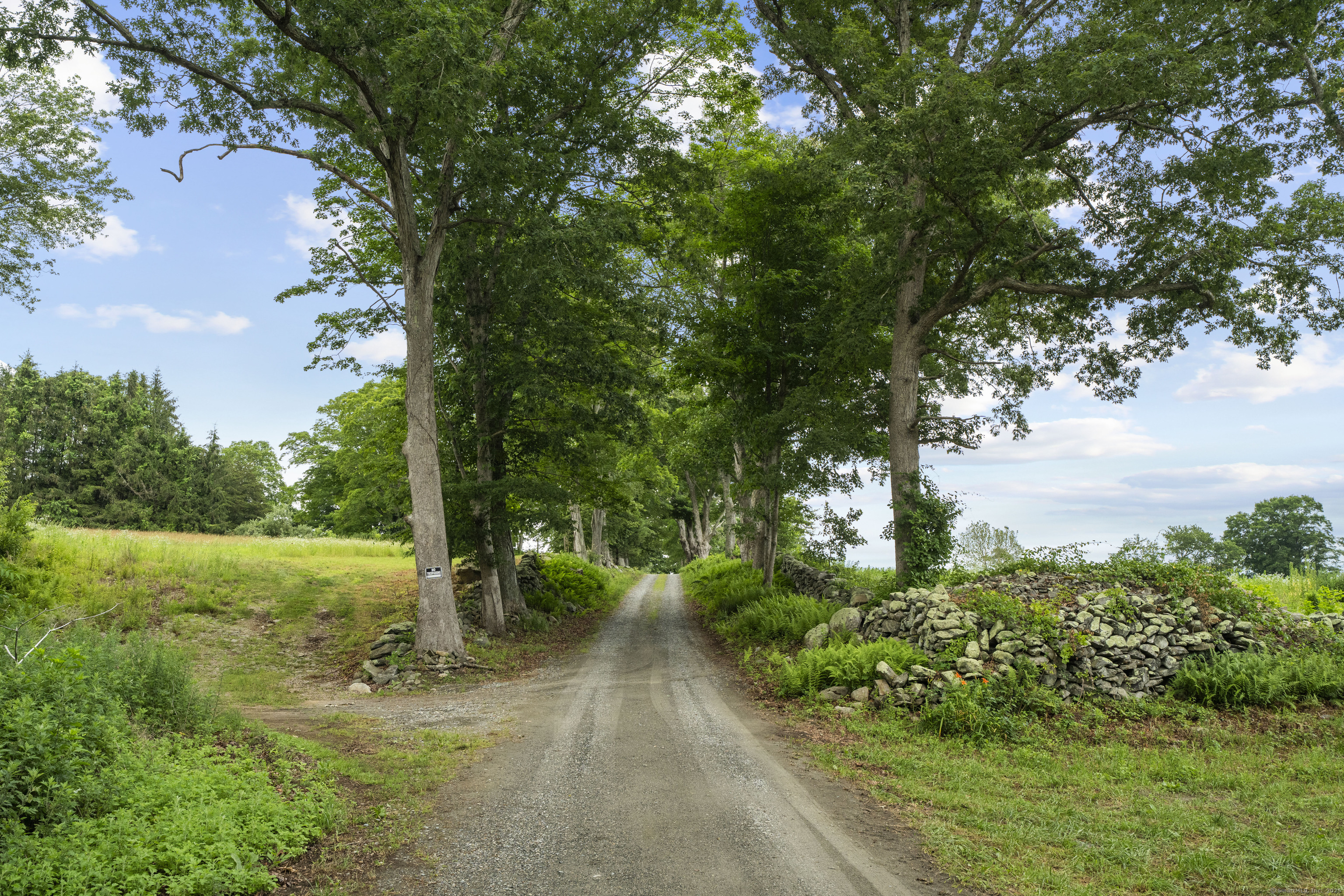 55 A Anna Farm Road West North Stonington, CT 06359 - Photo 40 of 41 a view of a yard with plants and trees