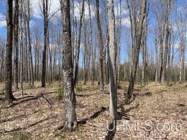 Tbd Way Dam Road Crystal Falls, MI 49920 - Photo 19 of 30 Gallery Image 19