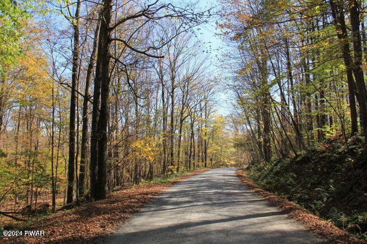 82 Ridge Road Lake Ariel, PA 18436 - Photo 60 of 61 Cobb's Lake Roads