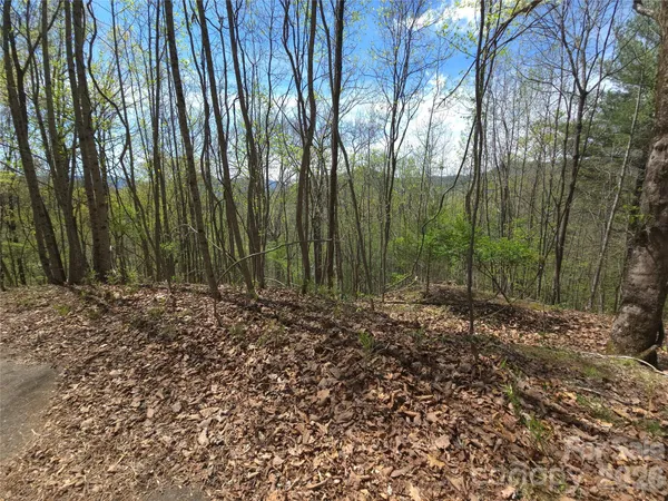 $45,000 | 0 Winding Way Drive, Unit 32/33, Franklin, NC 28734