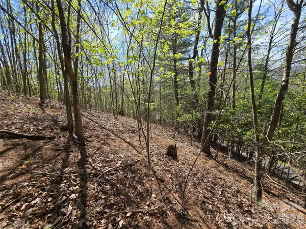 $45,000 | 0 Winding Way Drive, Unit 32/33, Franklin, NC 28734