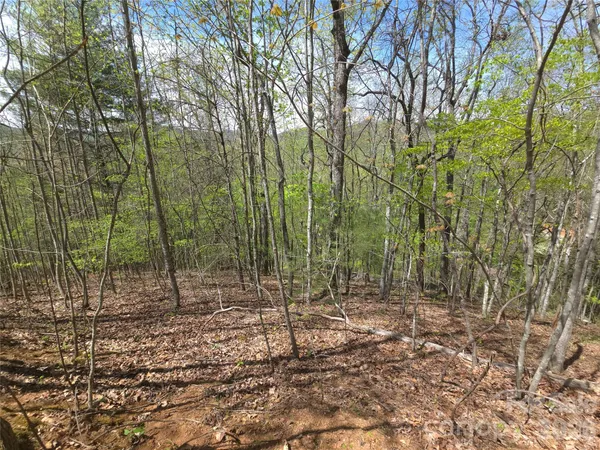 $45,000 | 0 Winding Way Drive, Unit 32/33, Franklin, NC 28734